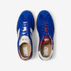 Cobalt Storm