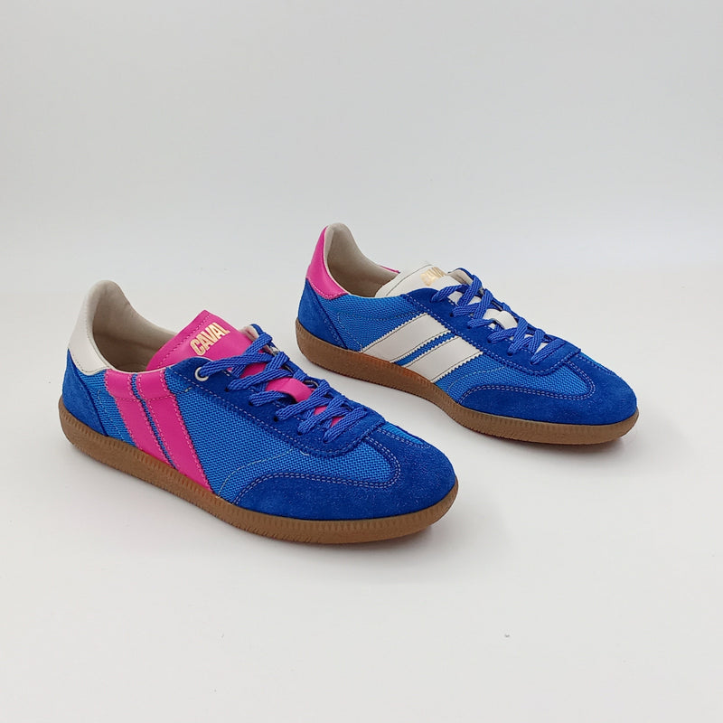 Proto - Pinky Electric - 38