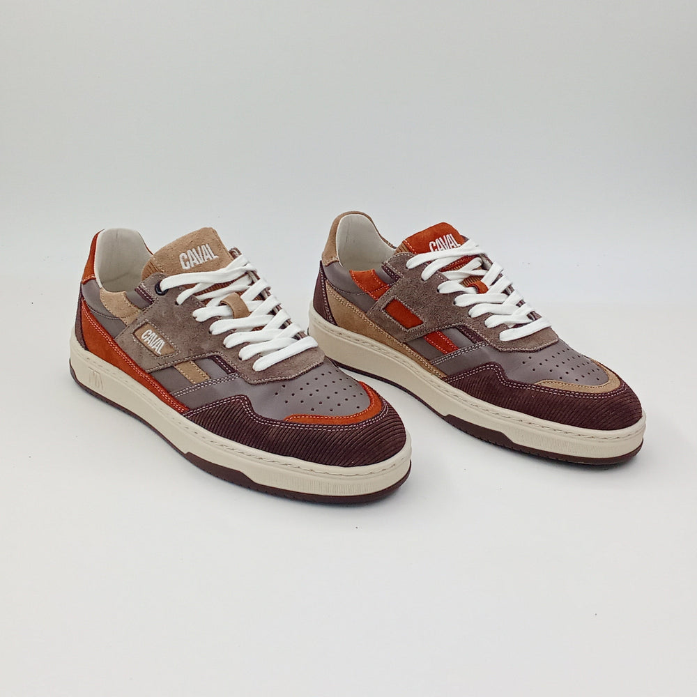 Proto - Chestnut Vibes - 41