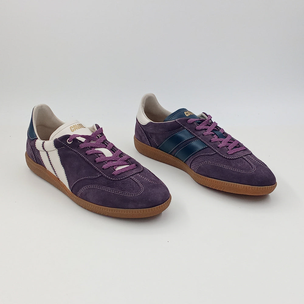 Proto - Purple Twilight - 41