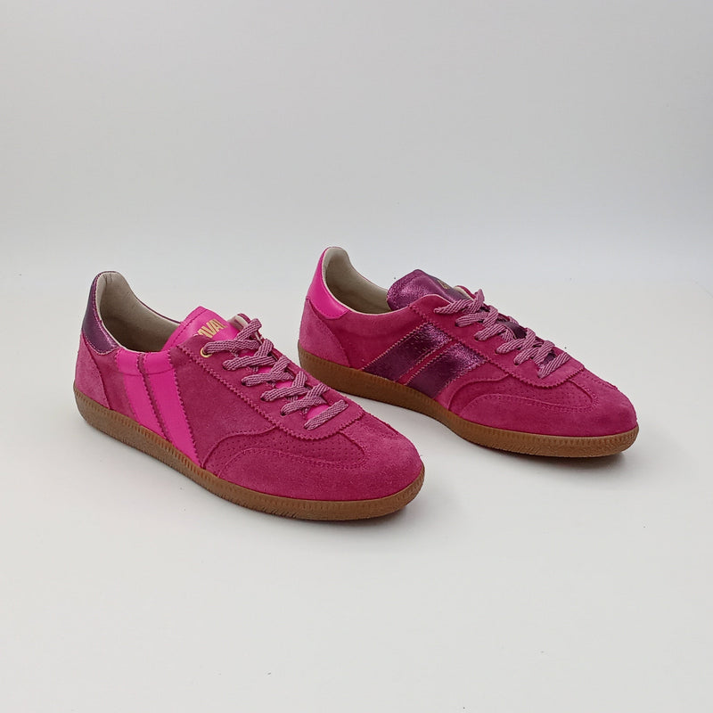 Proto - Fuchsia Passion - 38