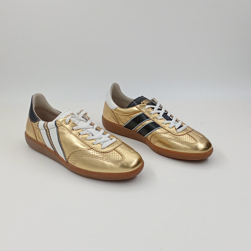 Proto - Solar Metallic - 38
