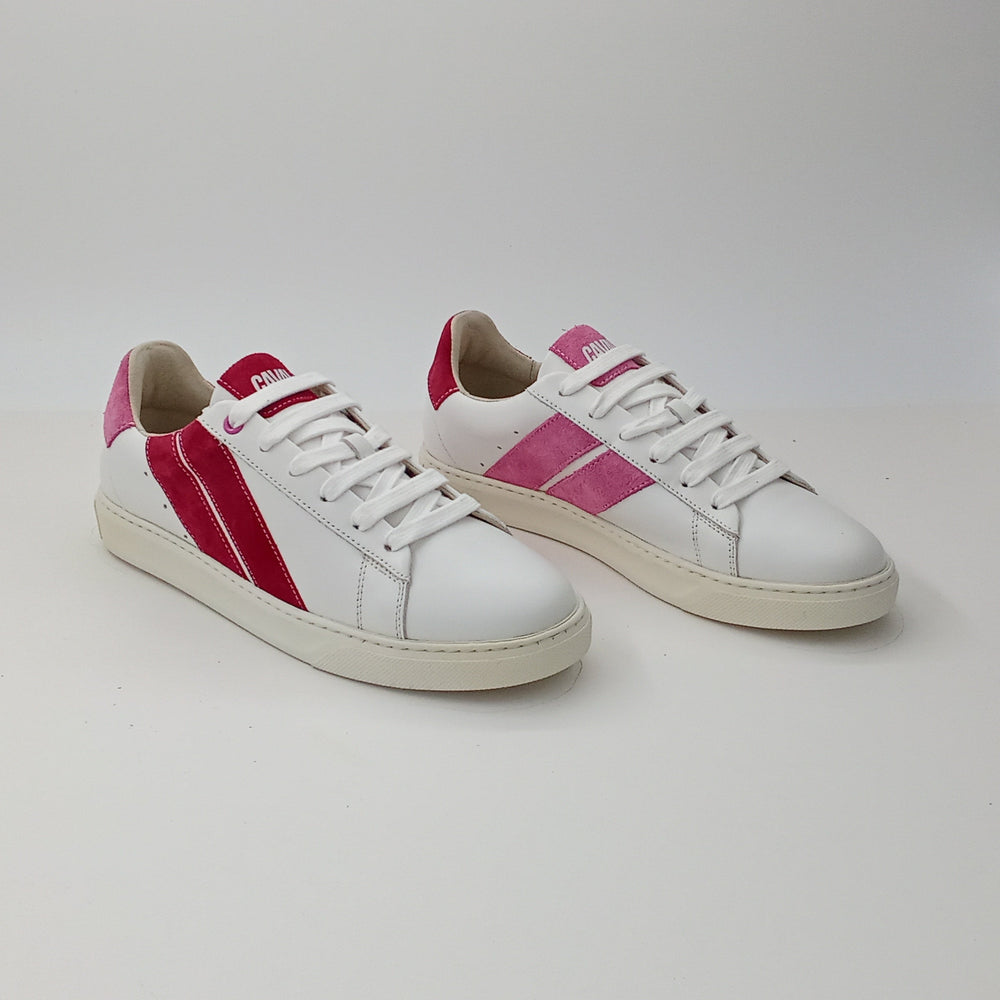 Proto - Pinky Candy - 38
