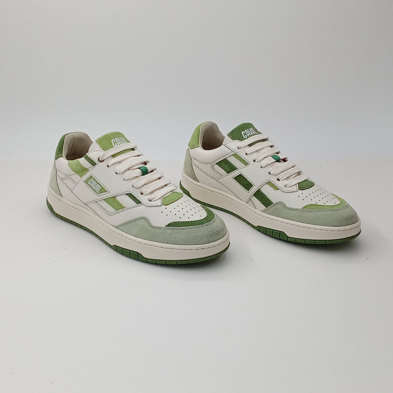 Proto - Matcha Dream - 42