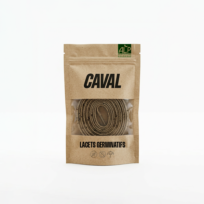 Lacets Germinatifs